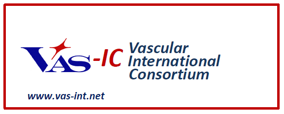 VAS International Consortium aims and projects
