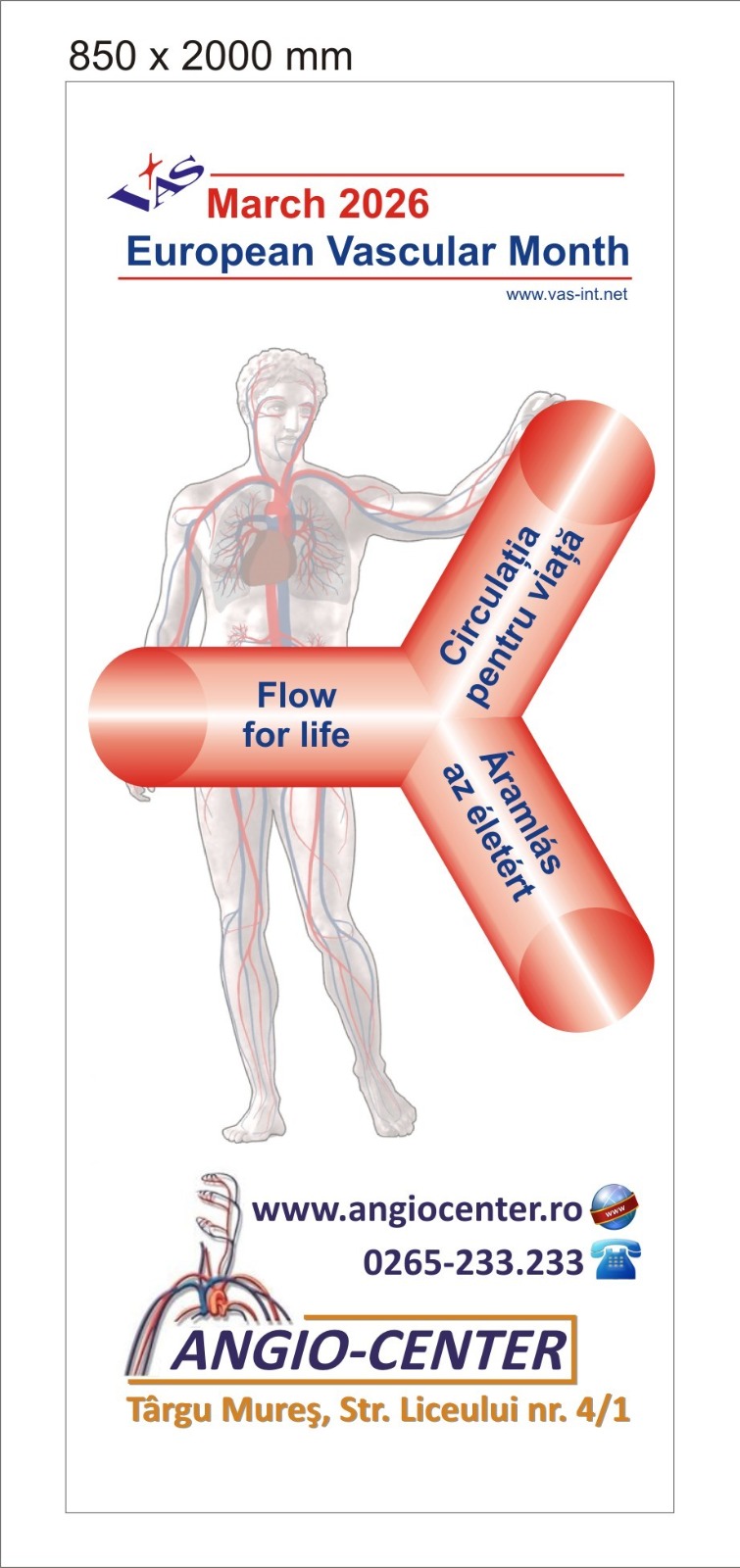 Lecture for lay people